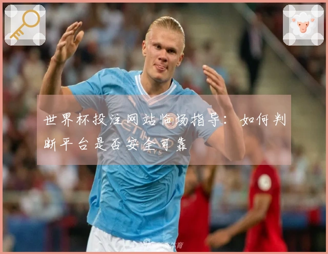 世界杯投注网站临场指导：如何判断平台是否安全可靠