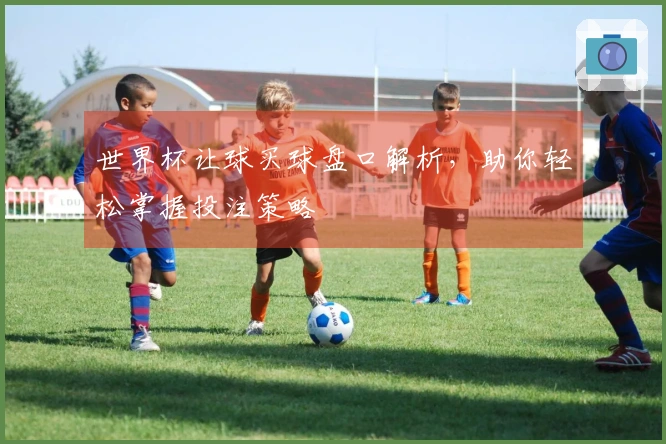 世界杯让球买球盘口解析，助你轻松掌握投注策略