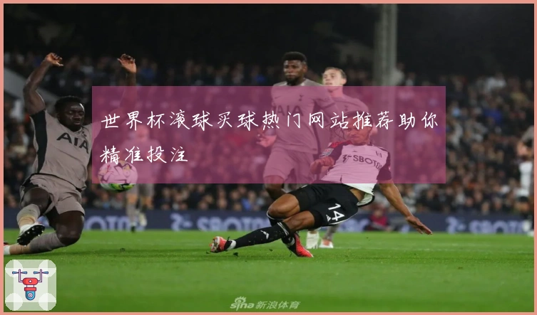 世界杯滚球买球热门网站推荐助你精准投注