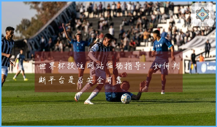 世界杯投注网站临场指导：如何判断平台是否安全可靠