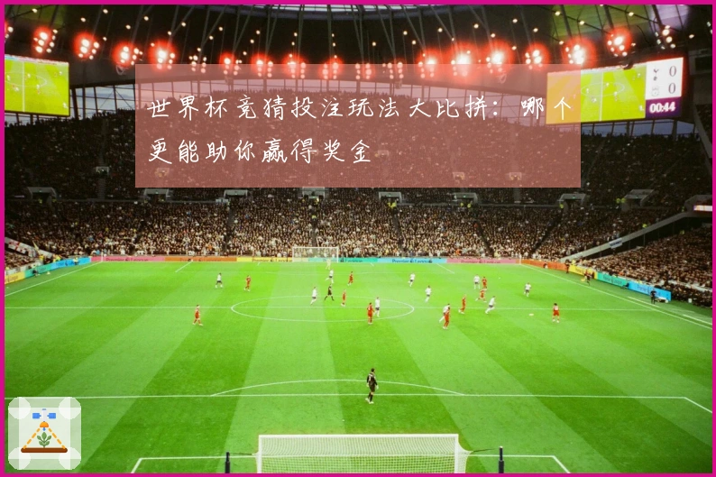 世界杯竞猜投注玩法大比拼：哪个更能助你赢得奖金