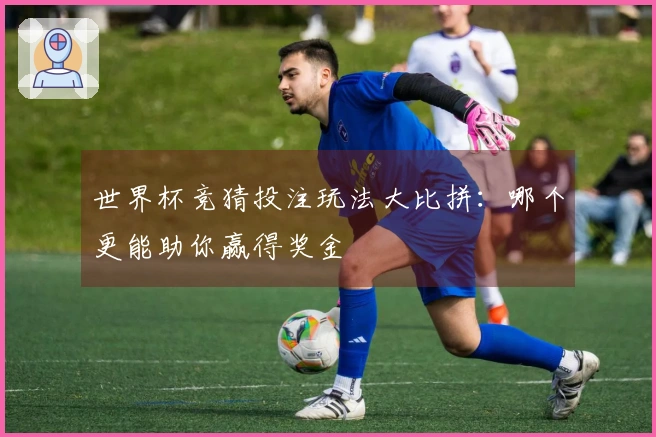 世界杯竞猜投注玩法大比拼：哪个更能助你赢得奖金