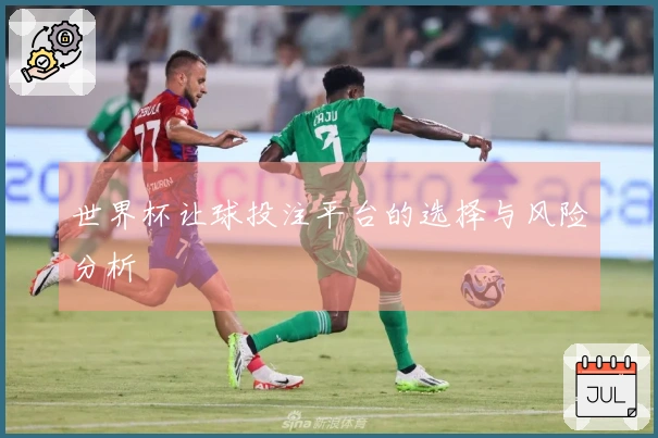 世界杯让球投注平台的选择与风险分析