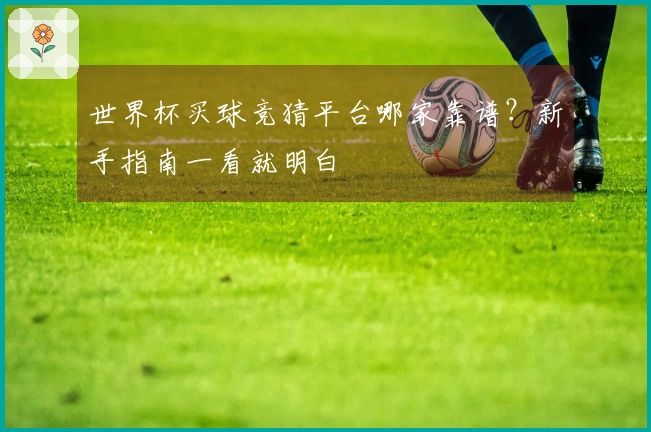 世界杯买球竞猜平台哪家靠谱？新手指南一看就明白